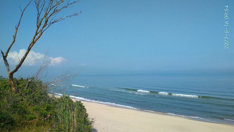 IMG_20230616_095433.jpg