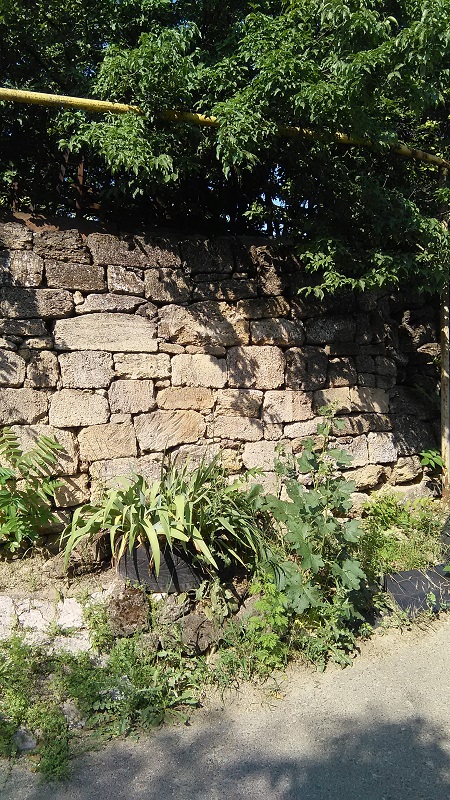 IMG_20230618_092314.jpg