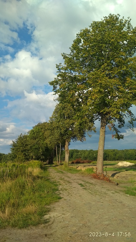IMG_20230804_175818.jpg
