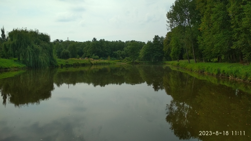 IMG_20230818_111132.jpg