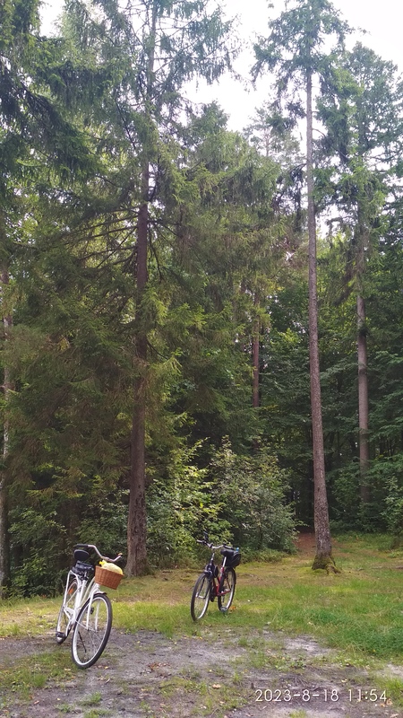 IMG_20230818_115449.jpg