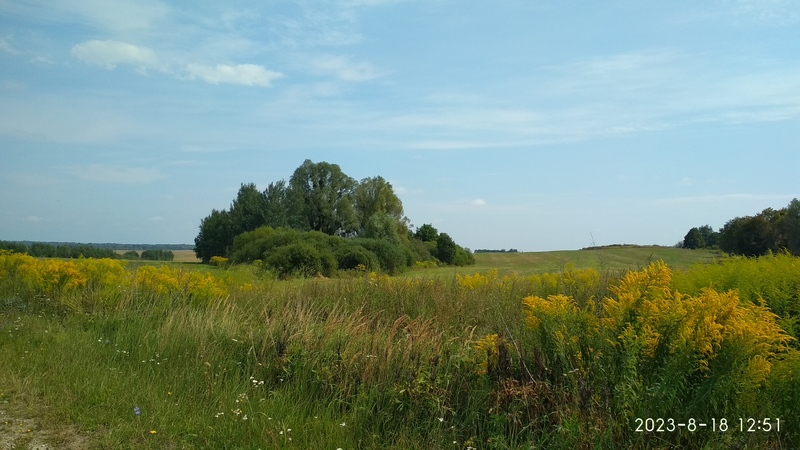 IMG_20230818_125155.jpg