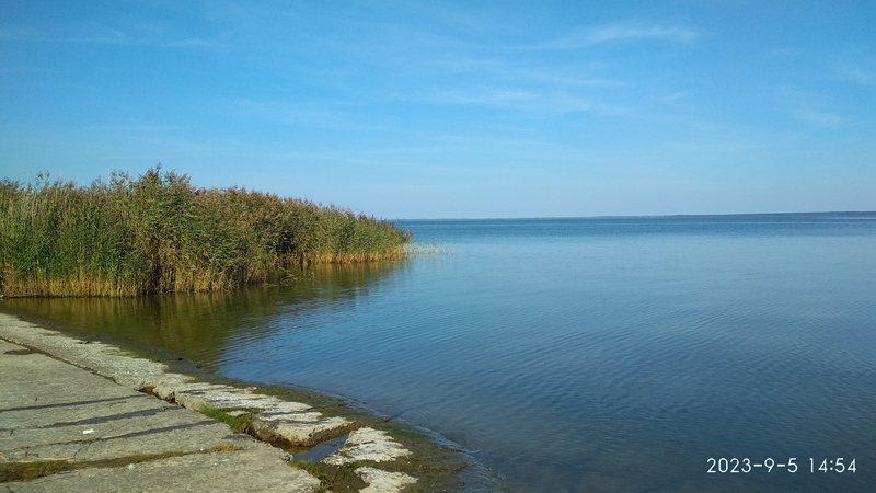 IMG_20230905_145416.jpg