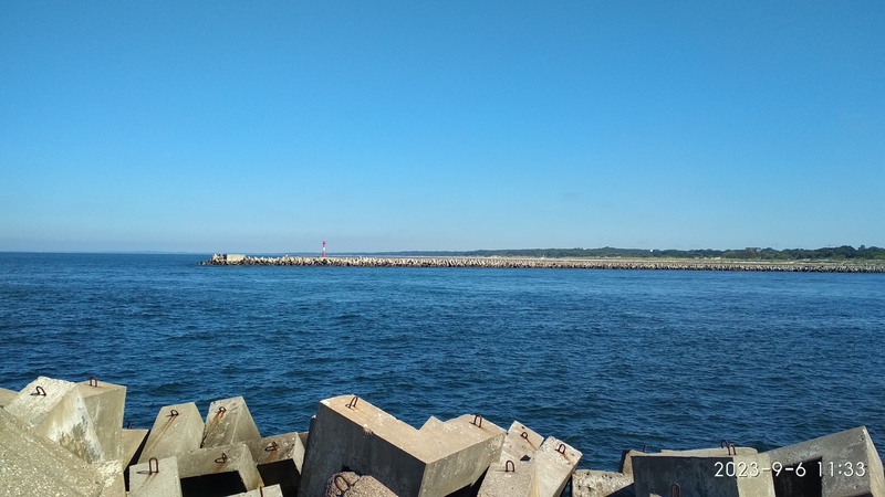 IMG_20230906_113335.jpg