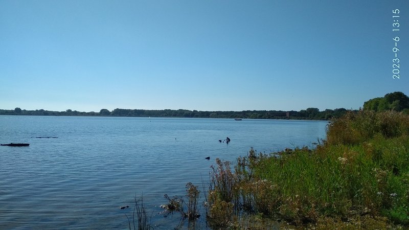 IMG_20230906_131506.jpg