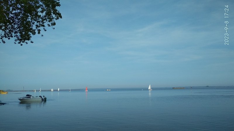 IMG_20230908_172428.jpg