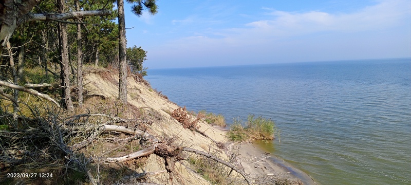 IMG_20230927_132412_998.jpg