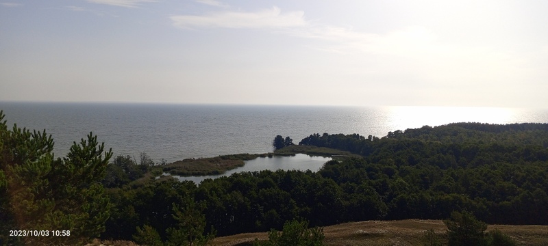 IMG_20231003_105823_557.jpg
