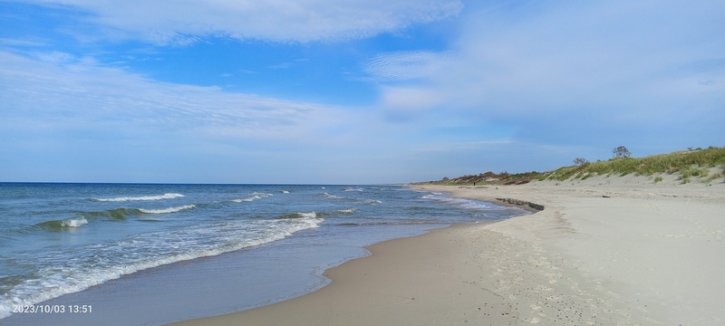 IMG_20231003_135138_326.jpg