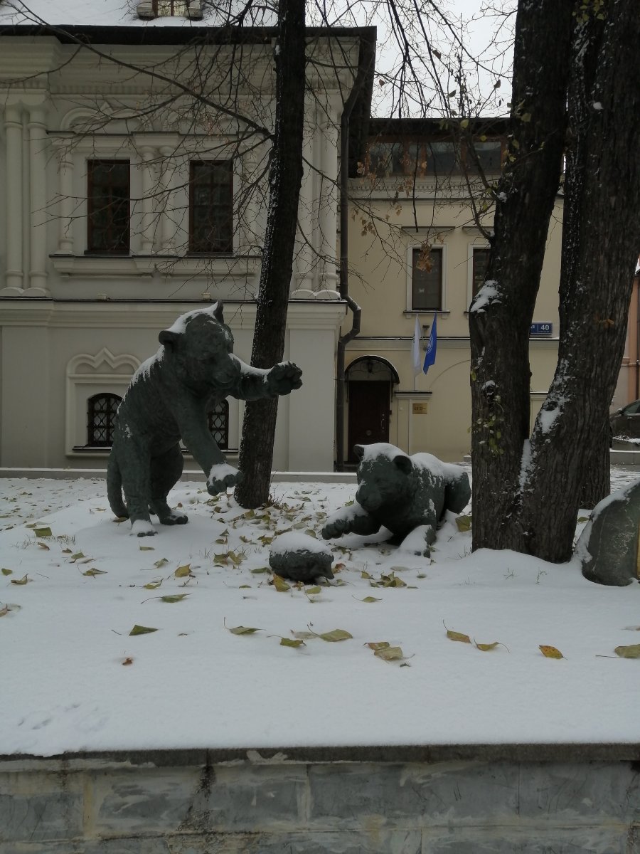 IMG_20231027_104453.jpg