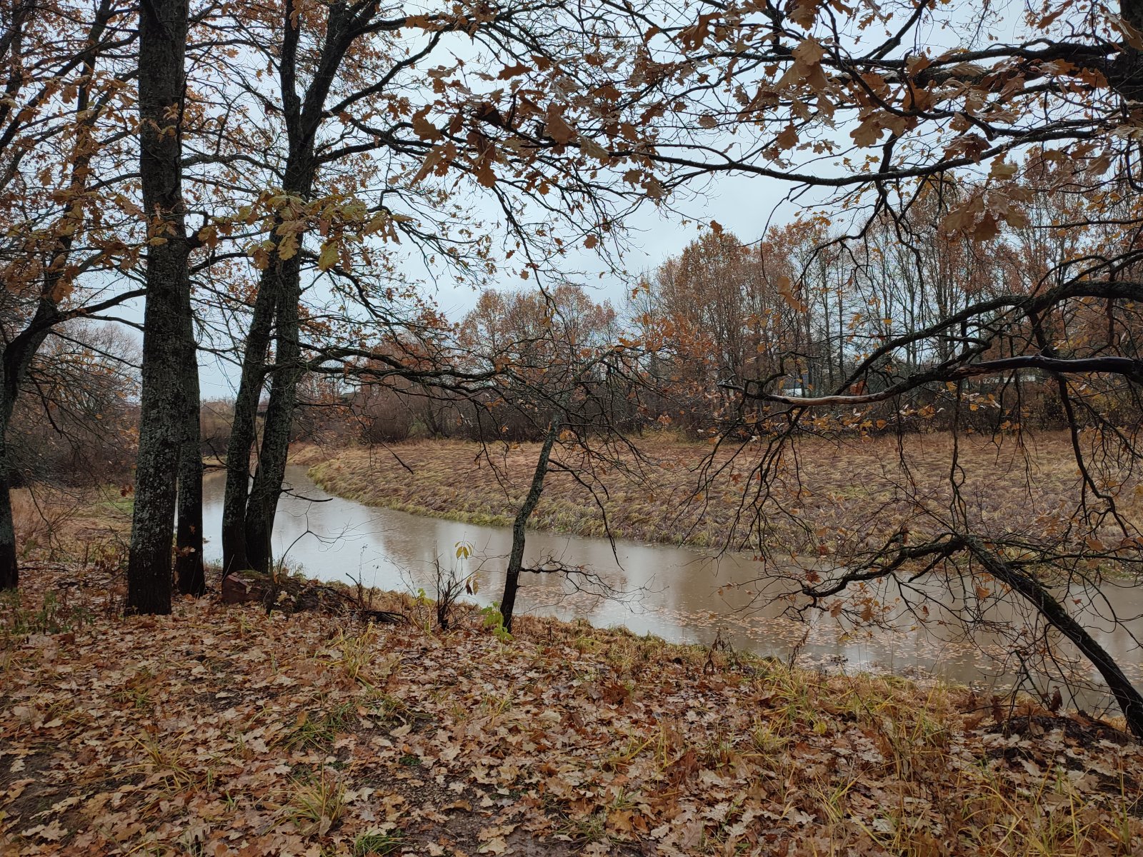 IMG_20231105_122823.jpg