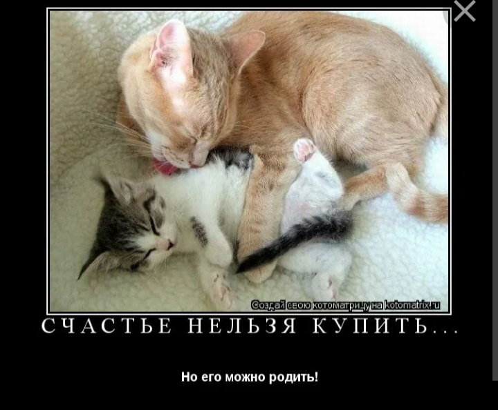 IMG_20231126_114843.jpg