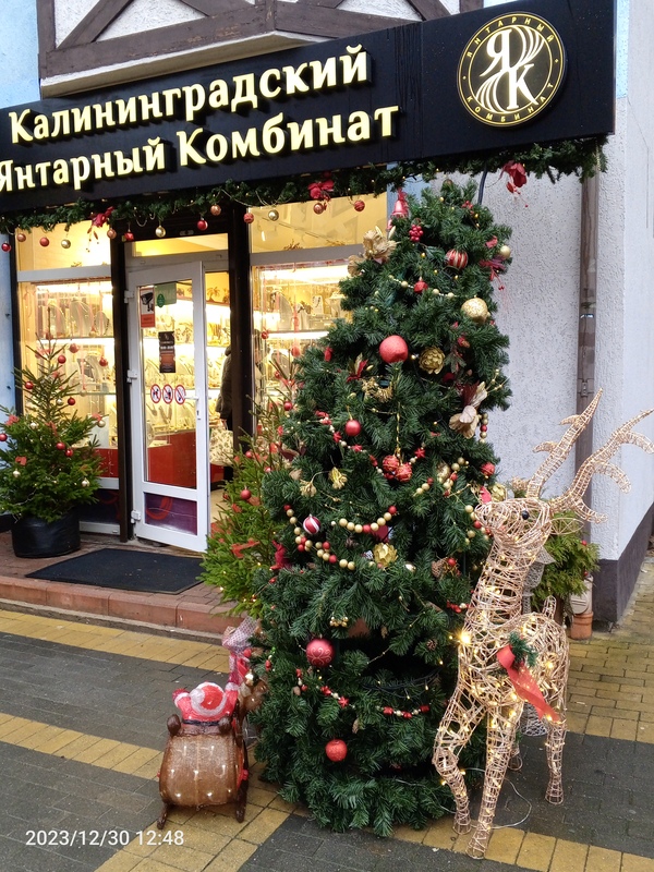 IMG_20231230_124947_826.jpg