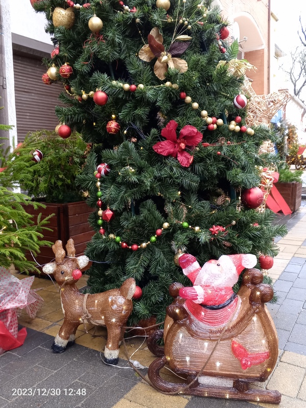IMG_20231230_124955_408.jpg