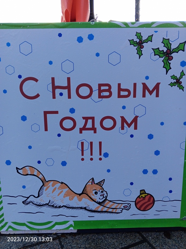 IMG_20231230_130343_490.jpg