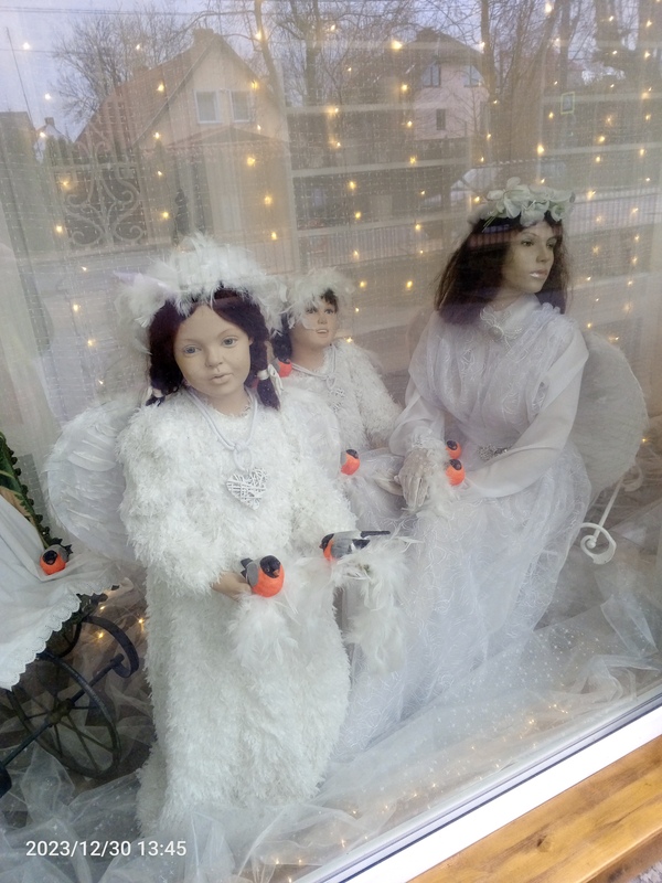IMG_20231230_134515_000.jpg