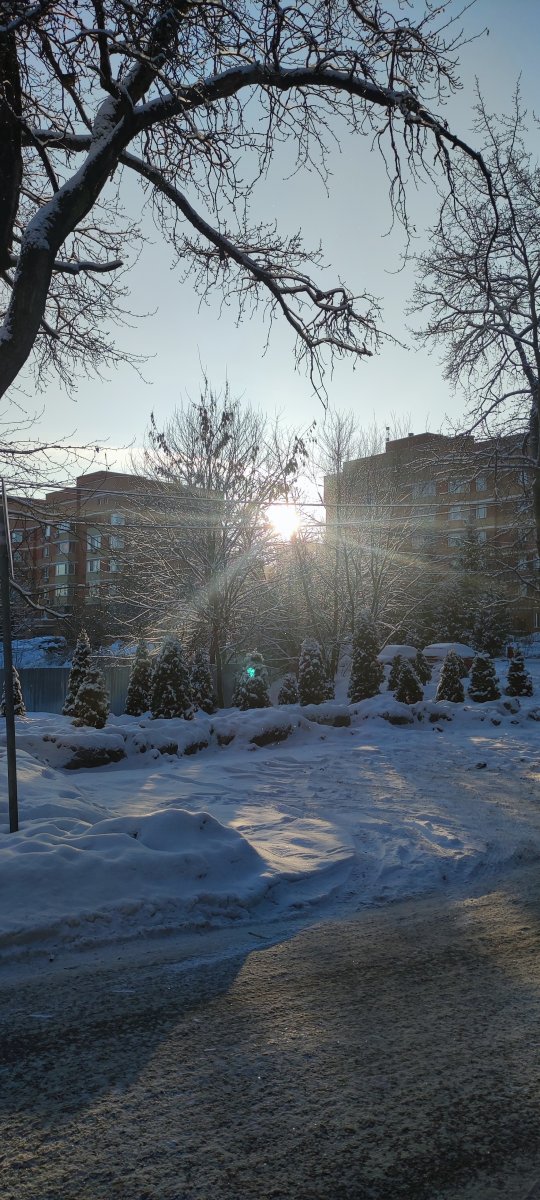 IMG_20240107_103757.jpg