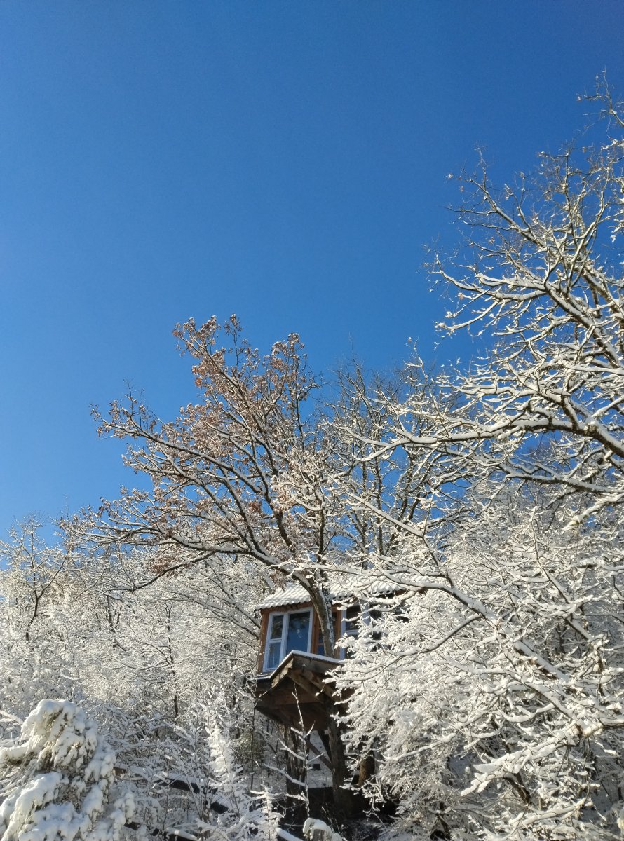 IMG_20240121_104000.jpg