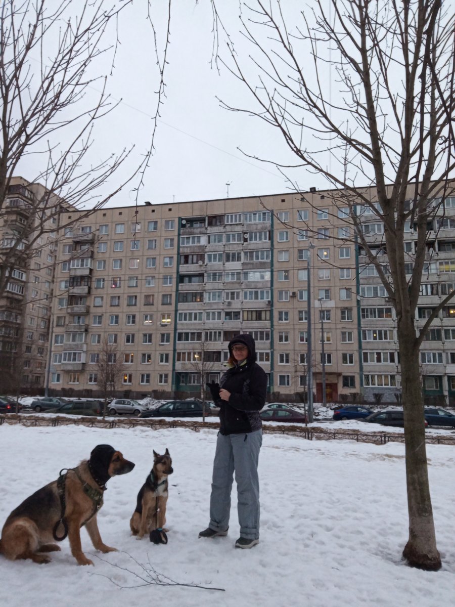 IMG_20240204_164549_132.jpg