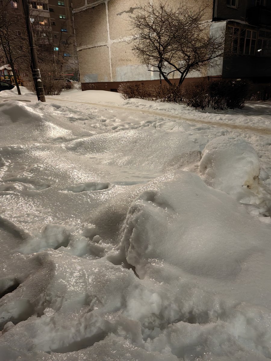 IMG_20240212_195459.jpg