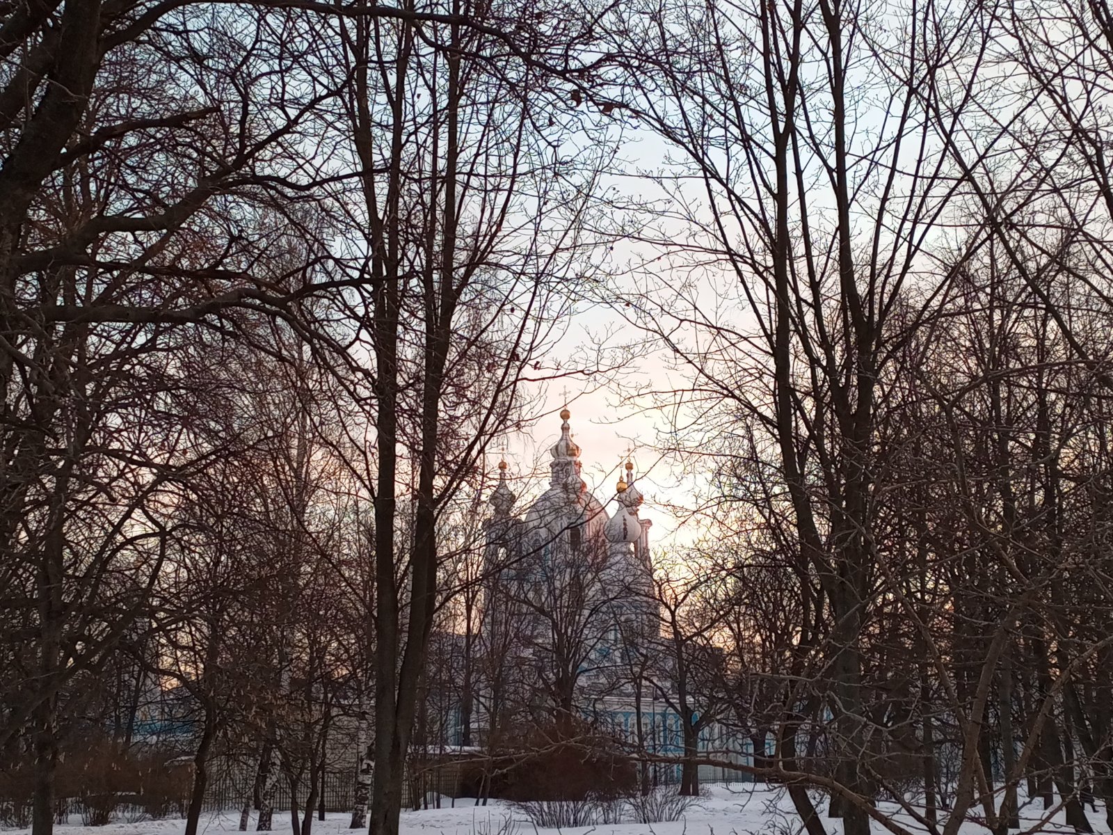 IMG_20240214_084451_035.jpg