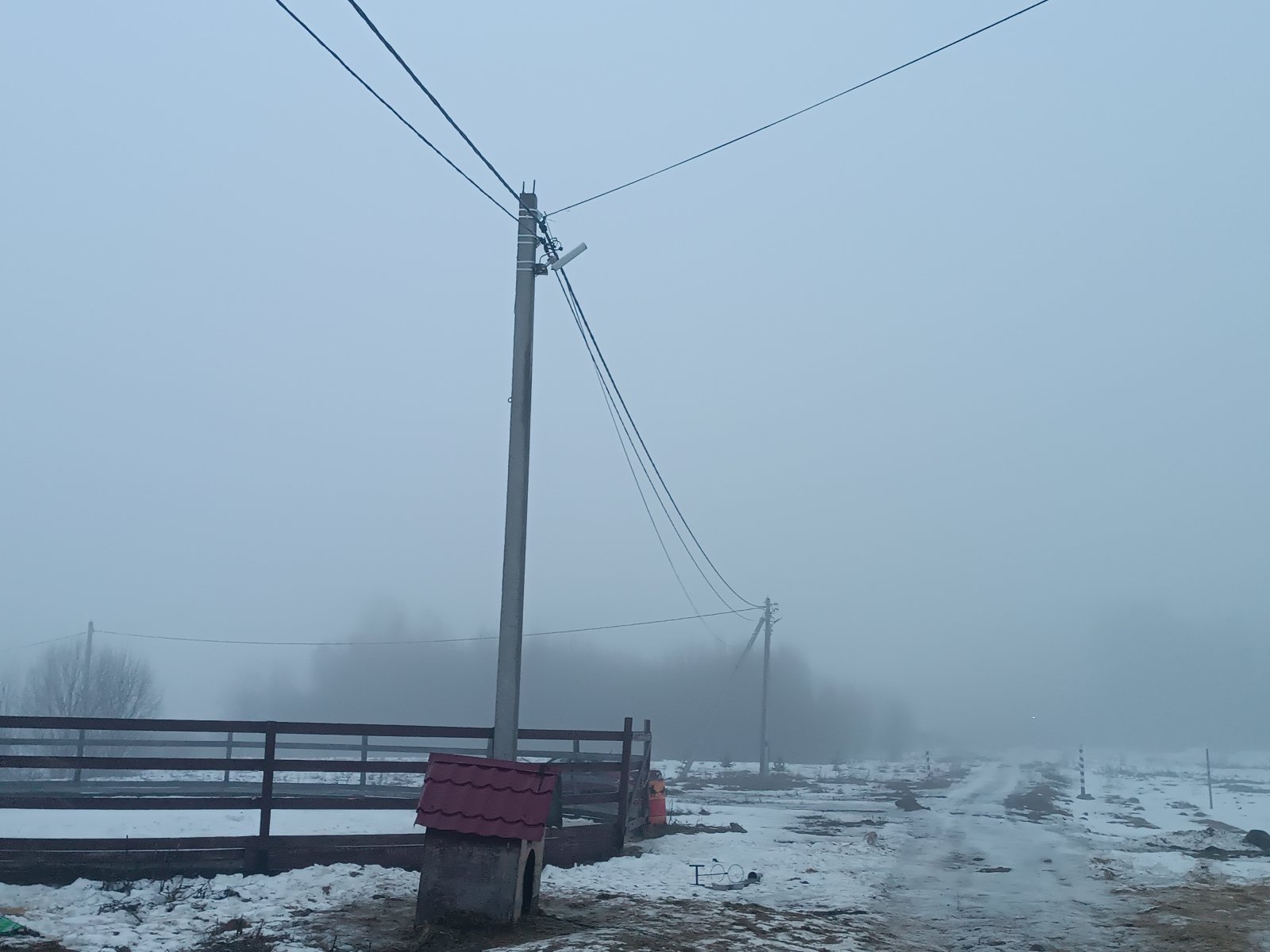IMG_20240229_080407.jpg