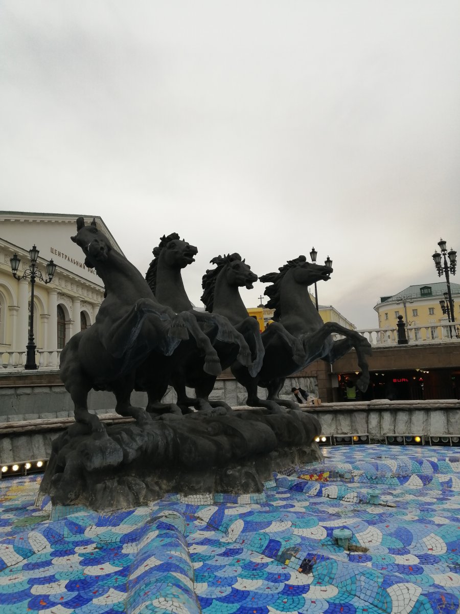 IMG_20240329_130730.jpg