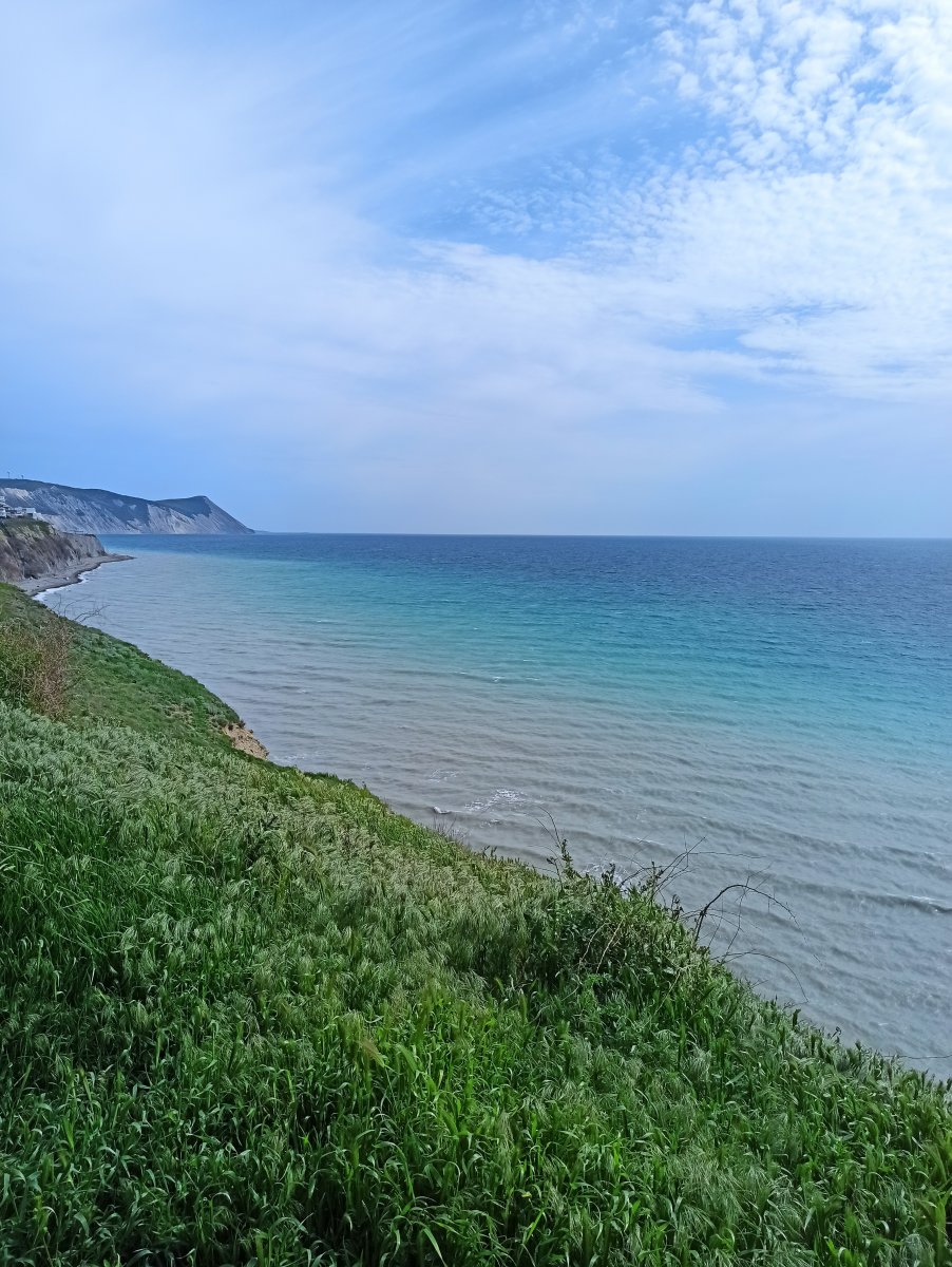 IMG_20240417_150016.jpg