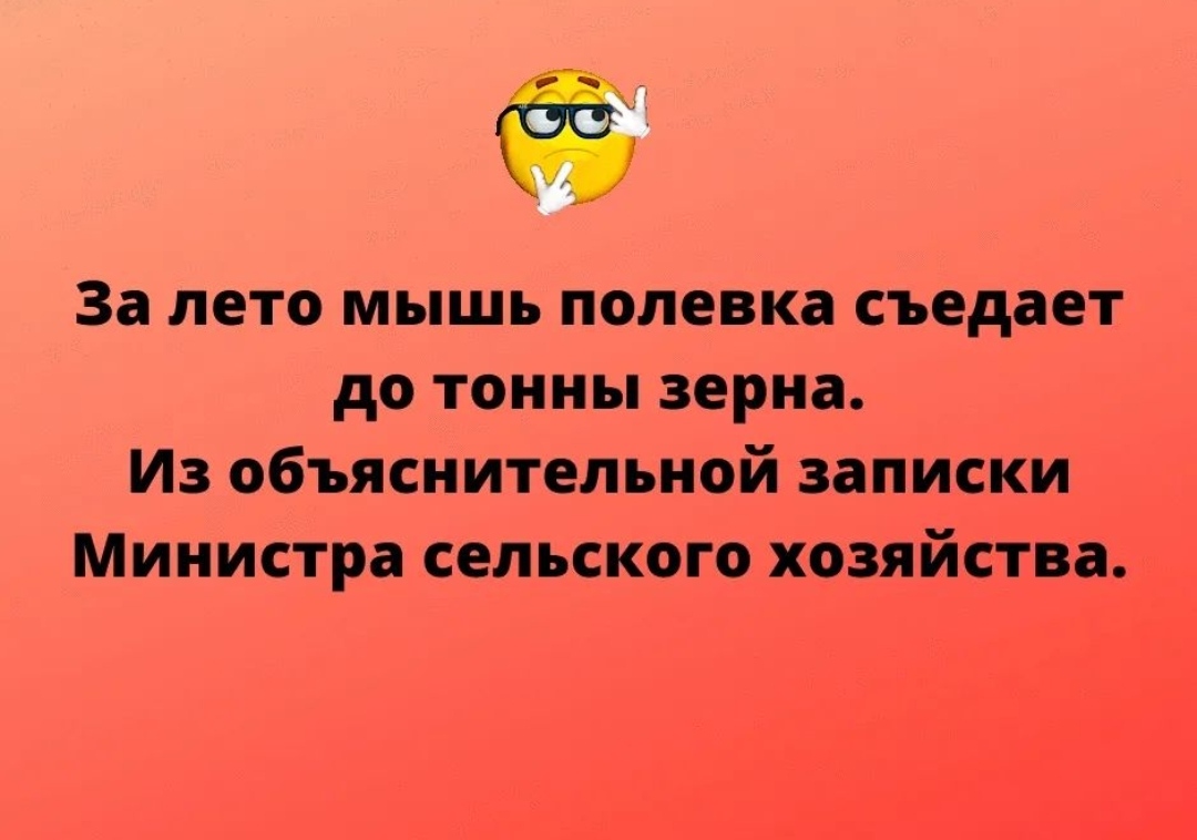 IMG_20240419_124810.jpg