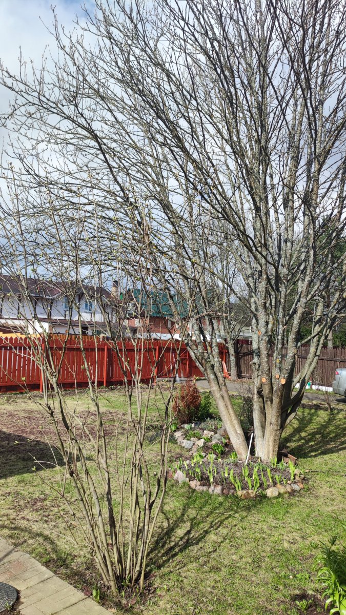 IMG_20240420_095634.jpg