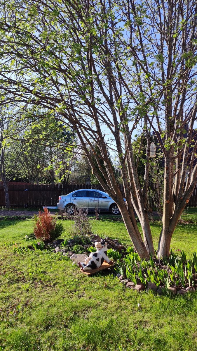 IMG_20240429_174150.jpg