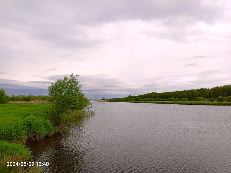 IMG_20240509_124021_845 (1).jpg