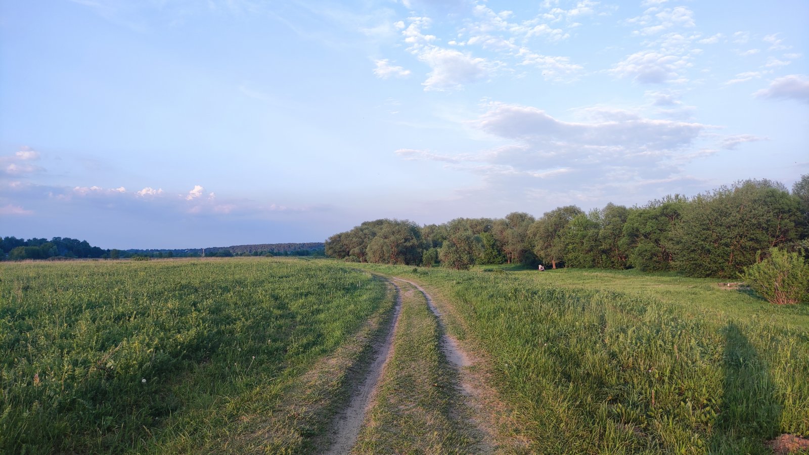 IMG_20240529_195616.jpg