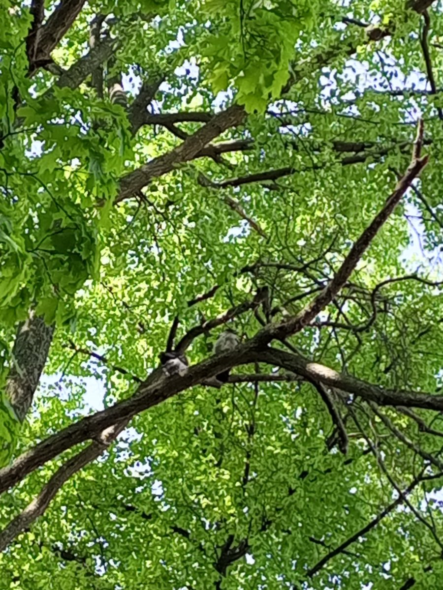 IMG_20240531_112155_821.jpg