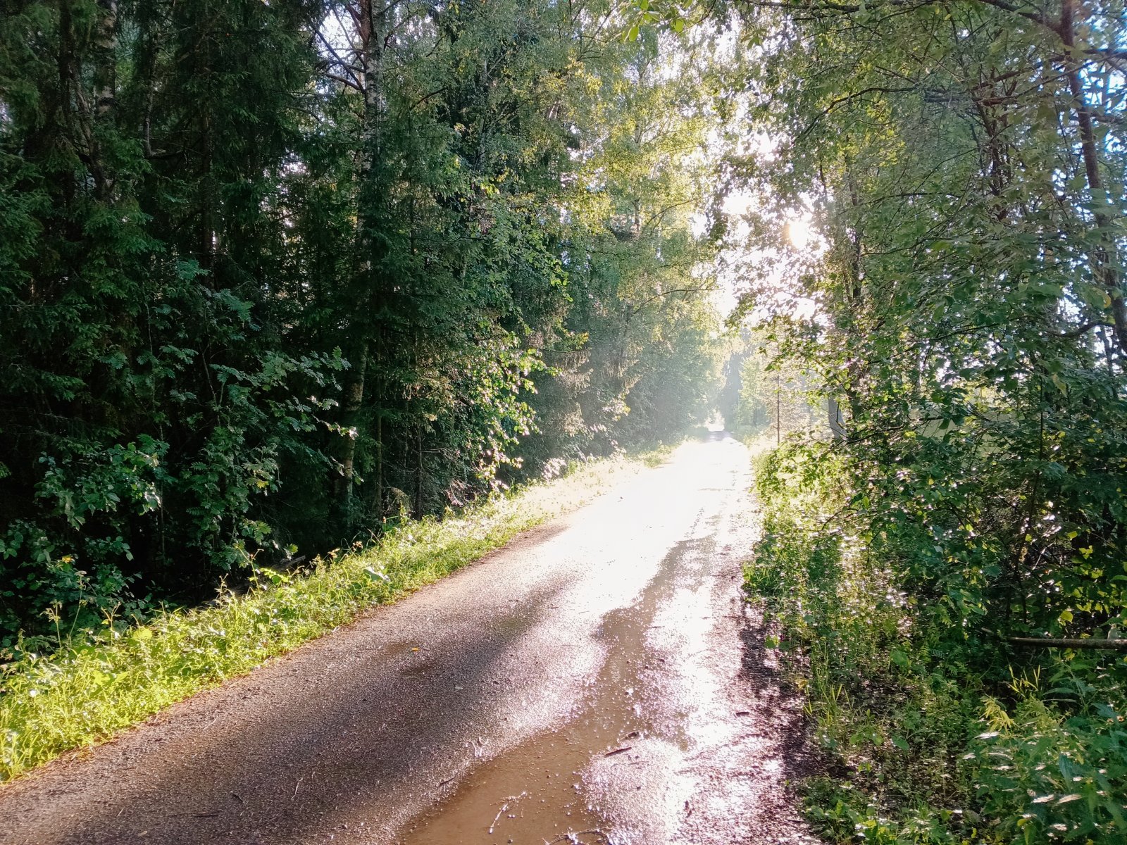 IMG_20240626_191046_922.jpg