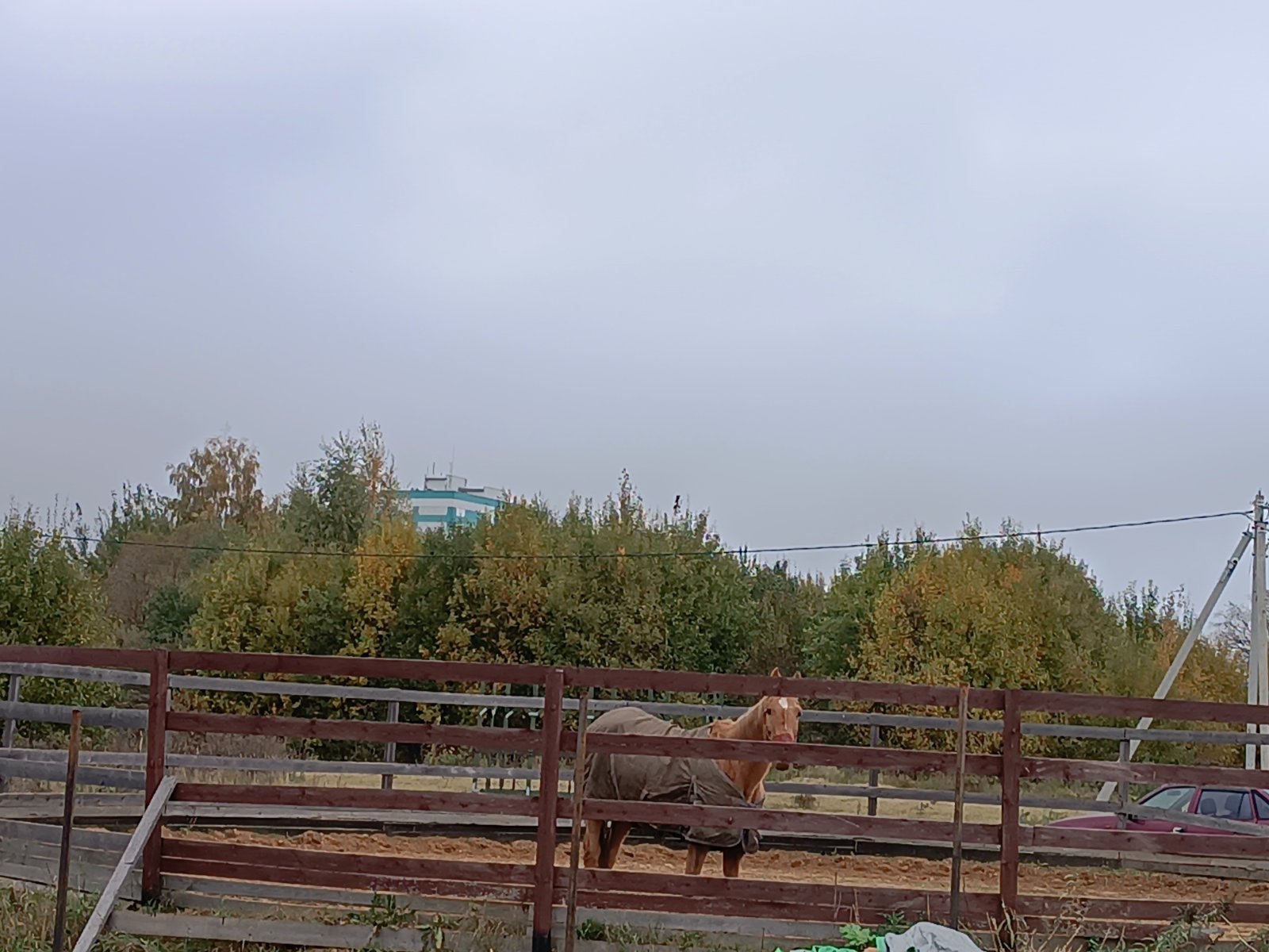 IMG_20241008_105044.jpg