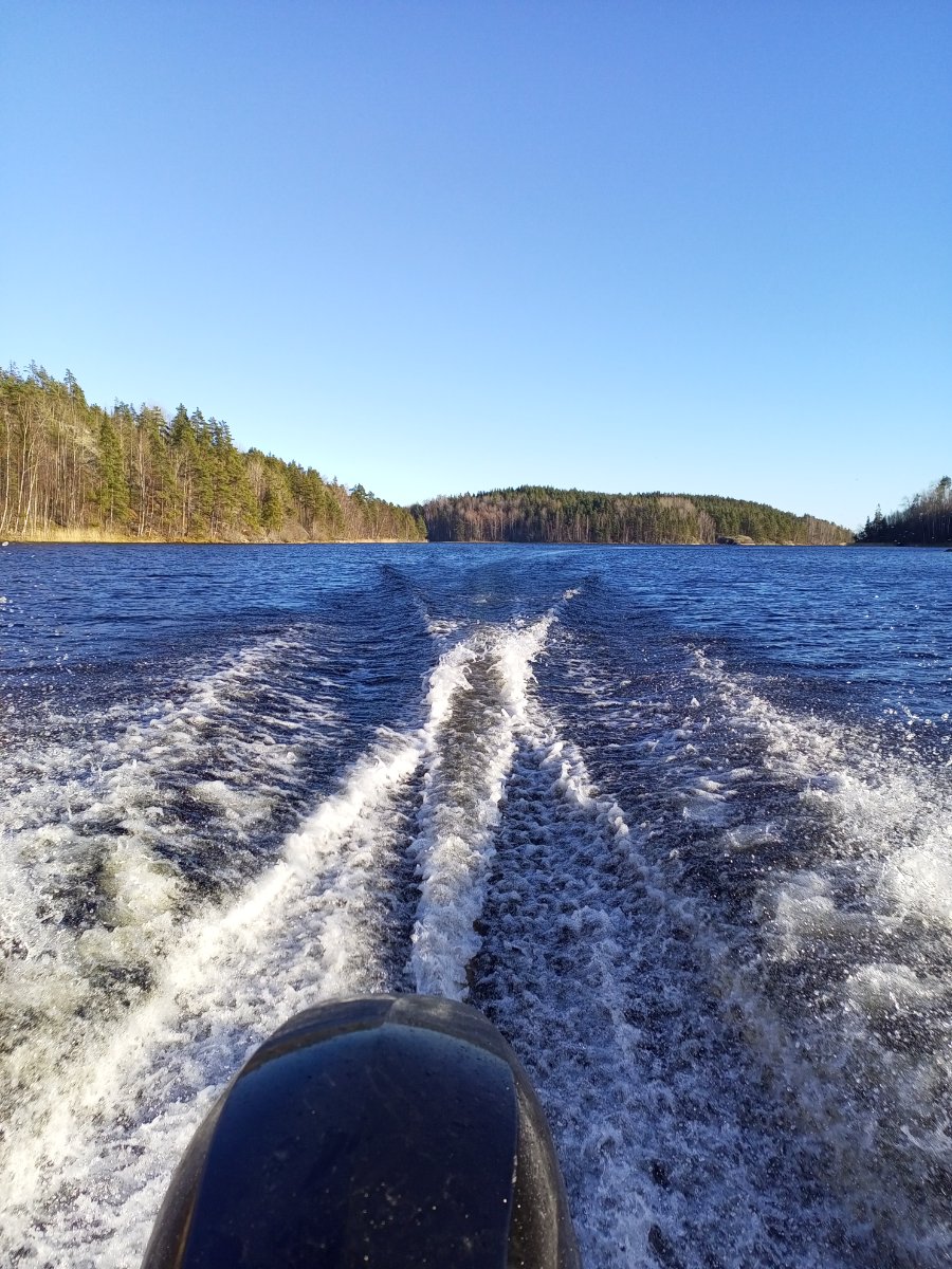 IMG_20241104_135014_060.jpg