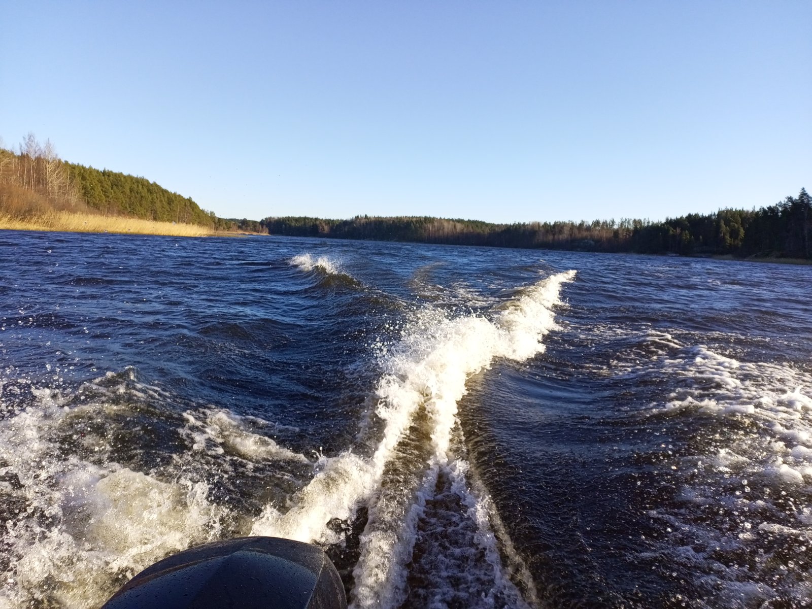 IMG_20241104_135244_898.jpg