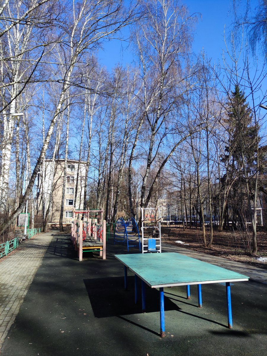 IMG_20250308_123426.jpg