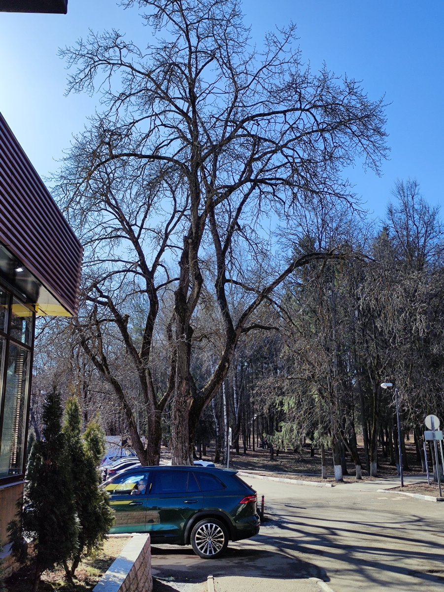 IMG_20250308_124836.jpg