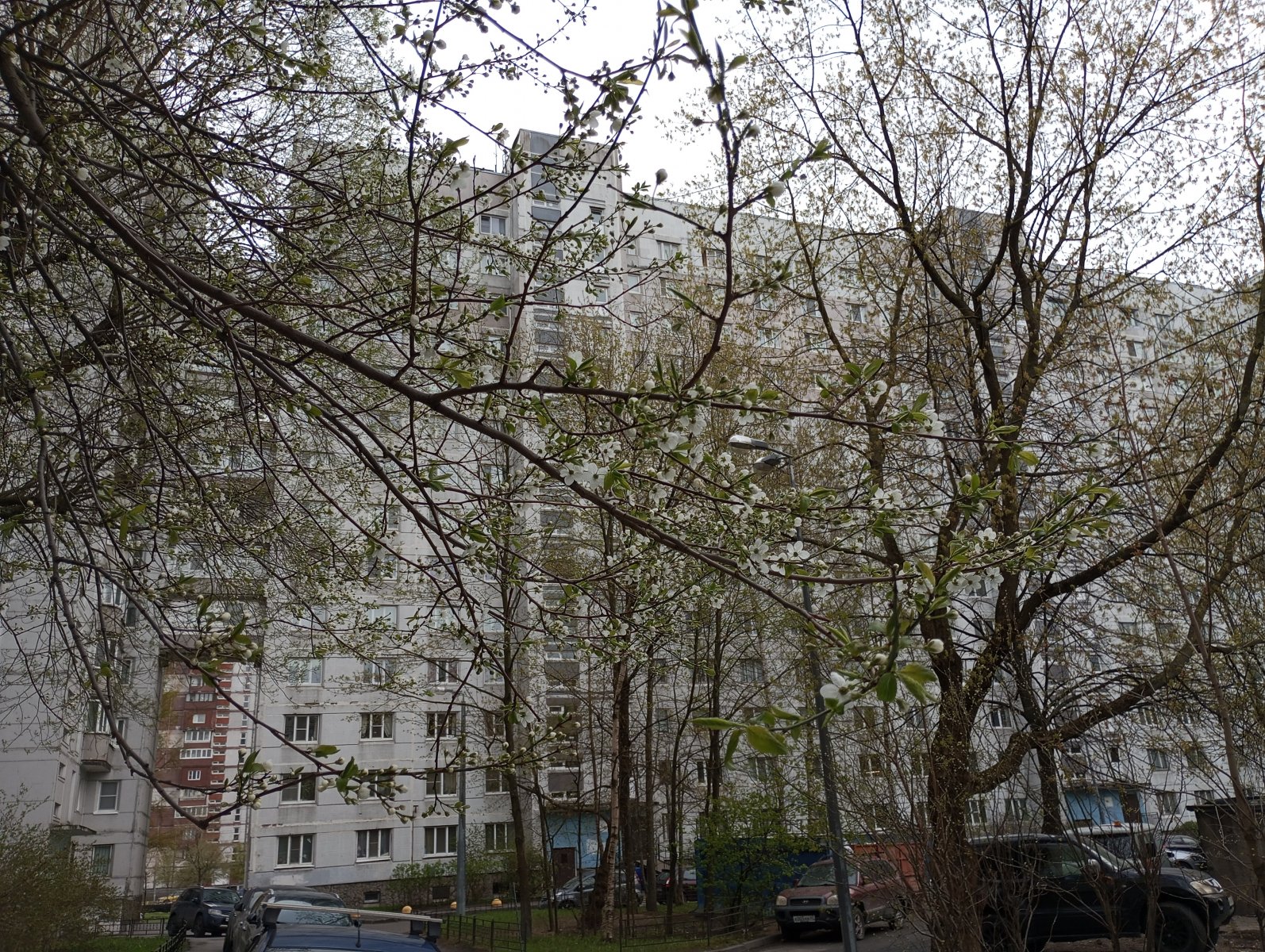 IMG_20250503_193403.jpg