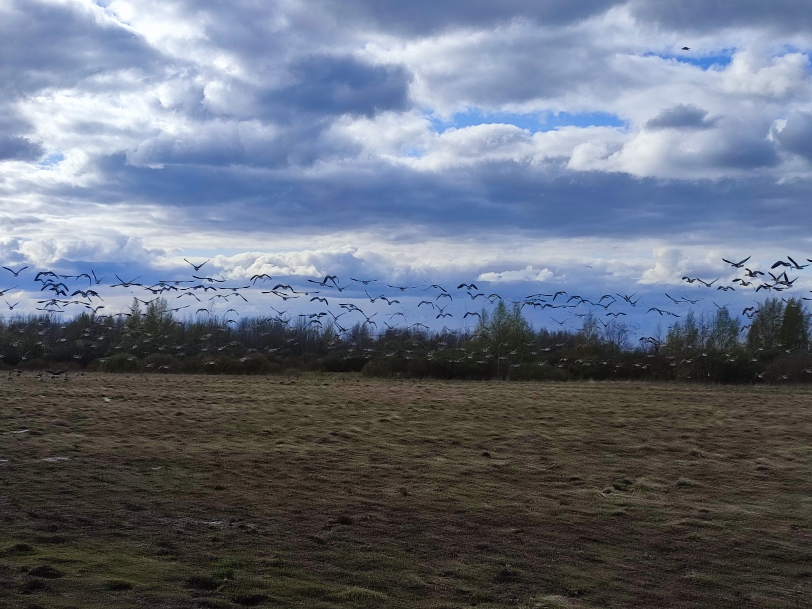 IMG_20250505_170736.jpg