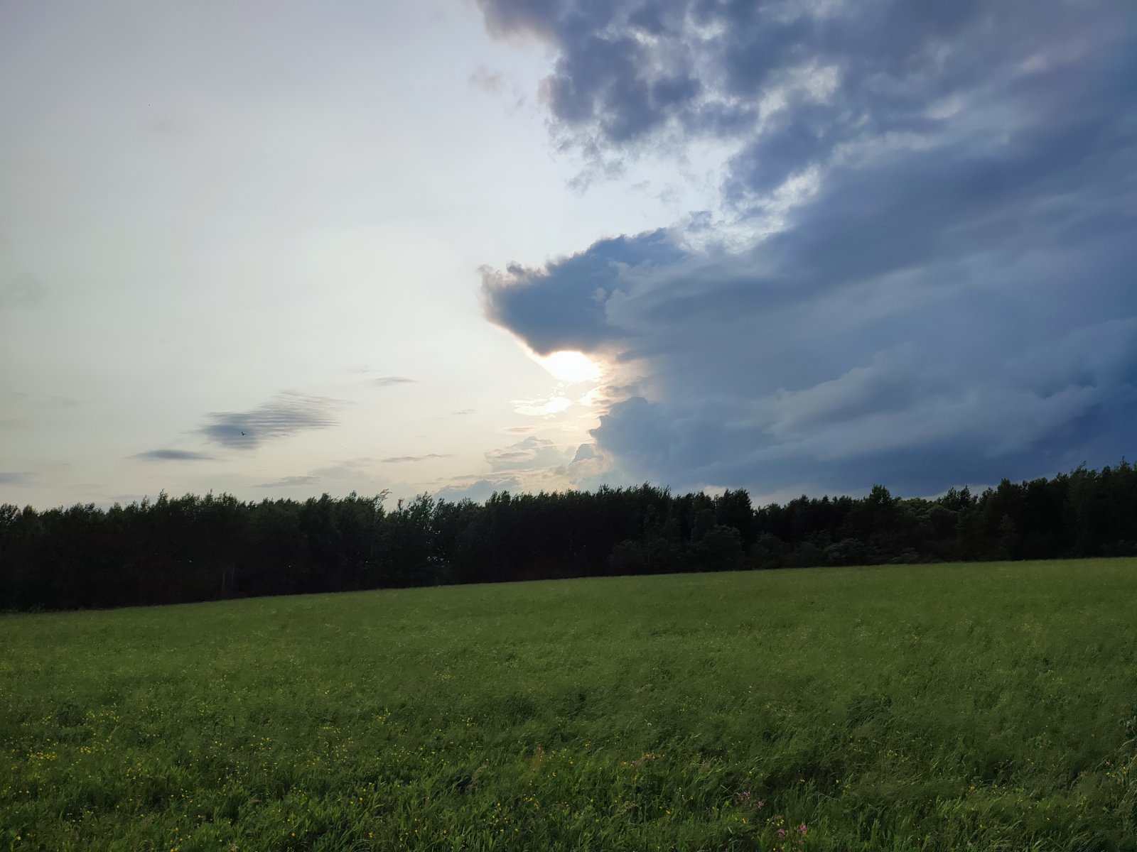IMG_20250609_193354.jpg