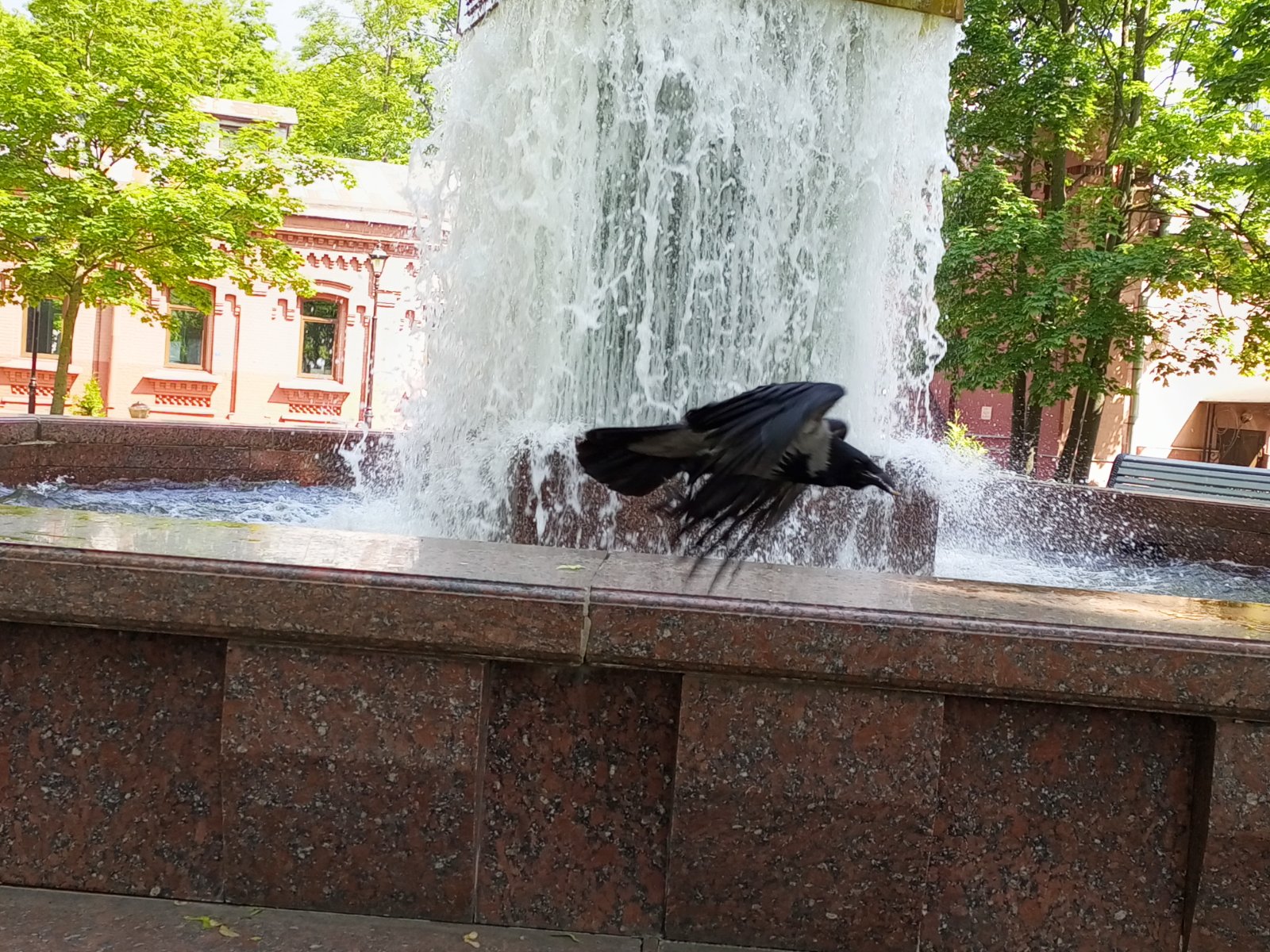 IMG_20250616_110223_339.jpg