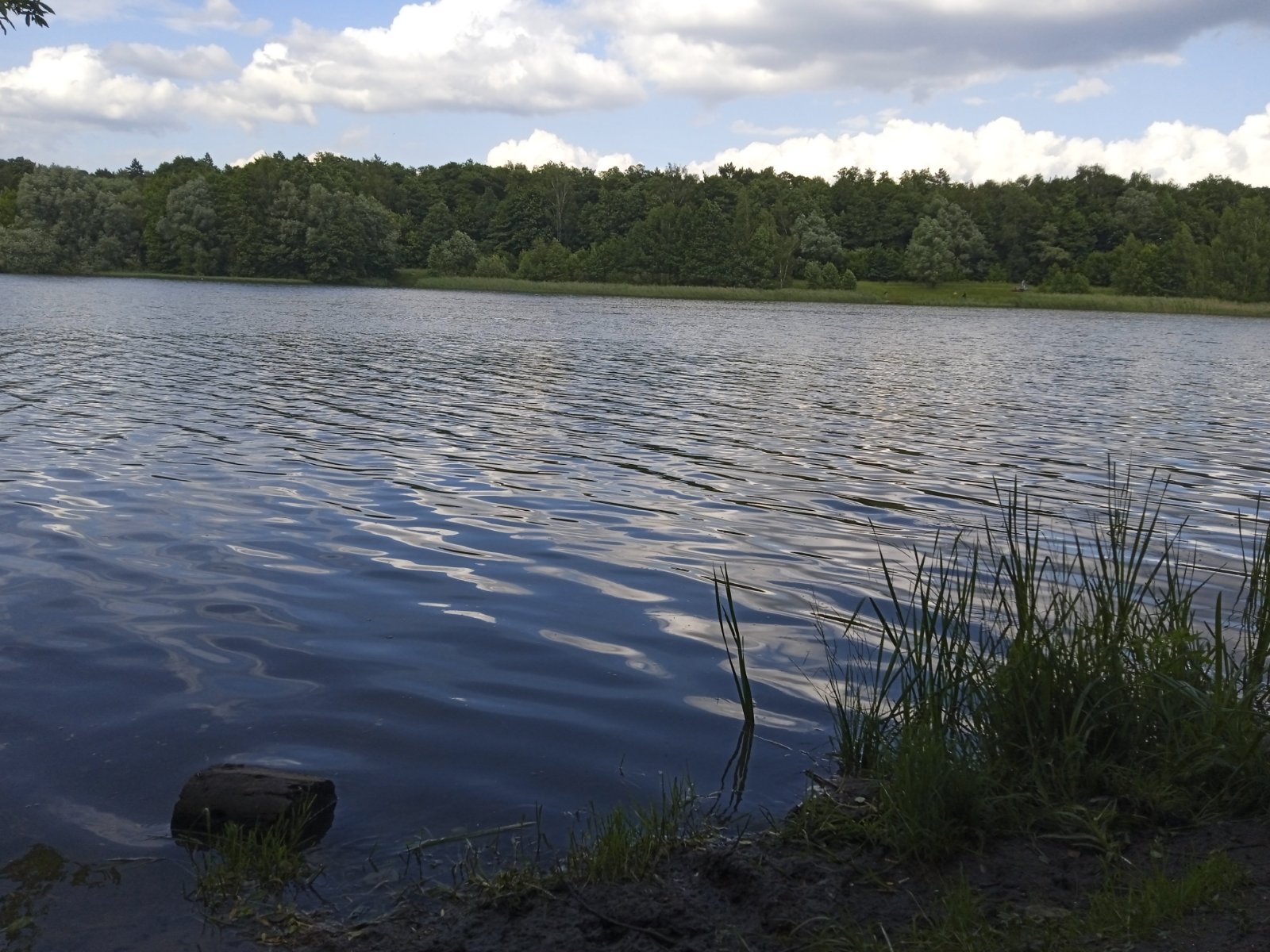 IMG_20250624_170722_1.jpg