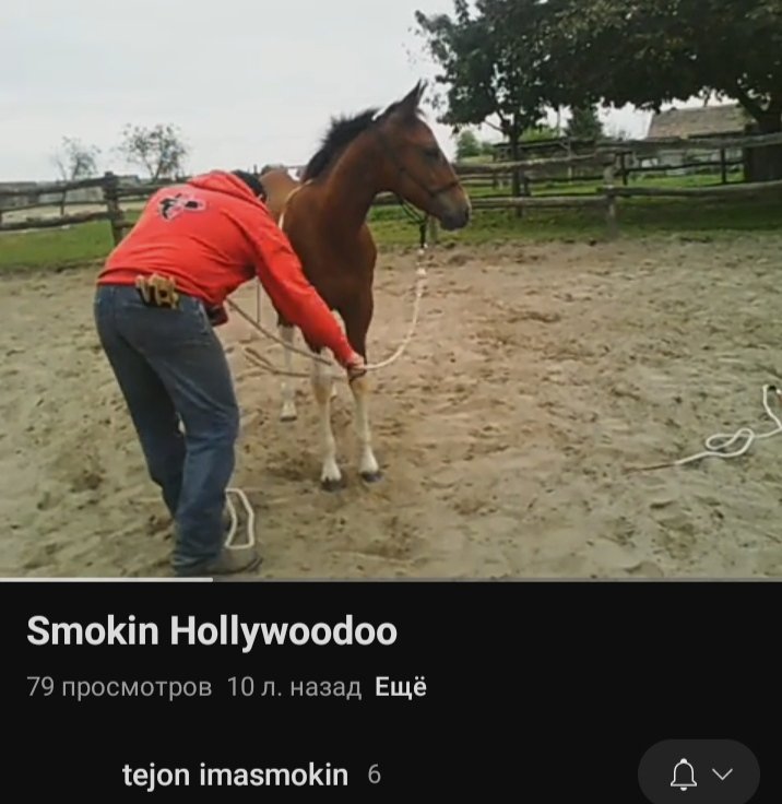IMG_20250710_082115.jpg
