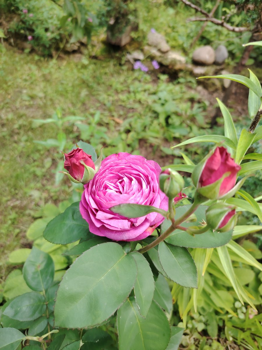 IMG_20250713_151638.jpg