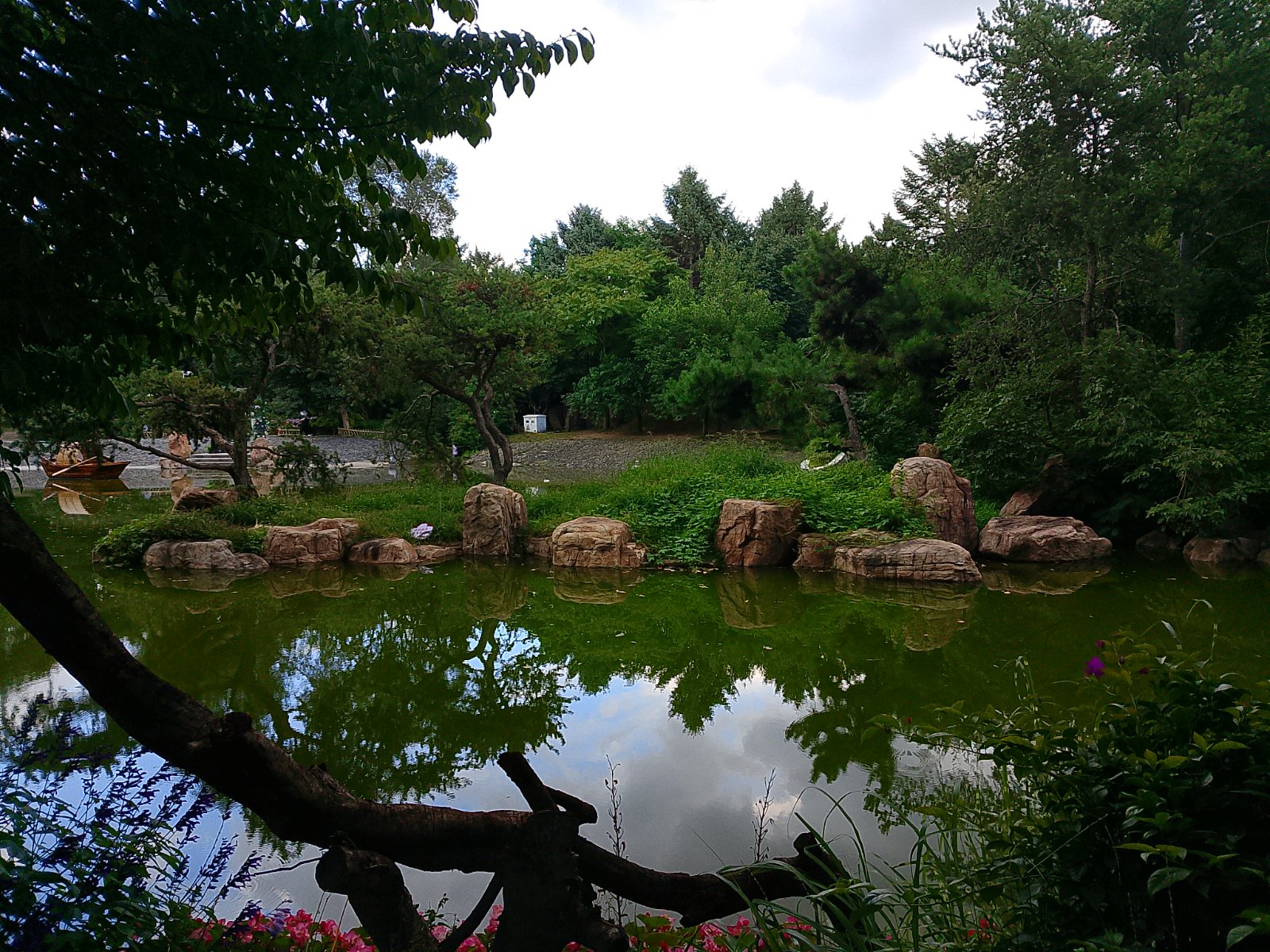 IMG_20250826_114521.jpg