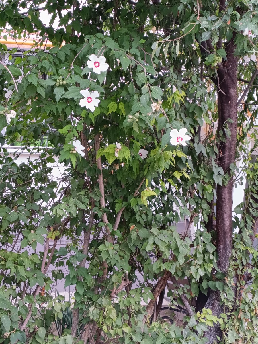 IMG_20250910_120110.jpg