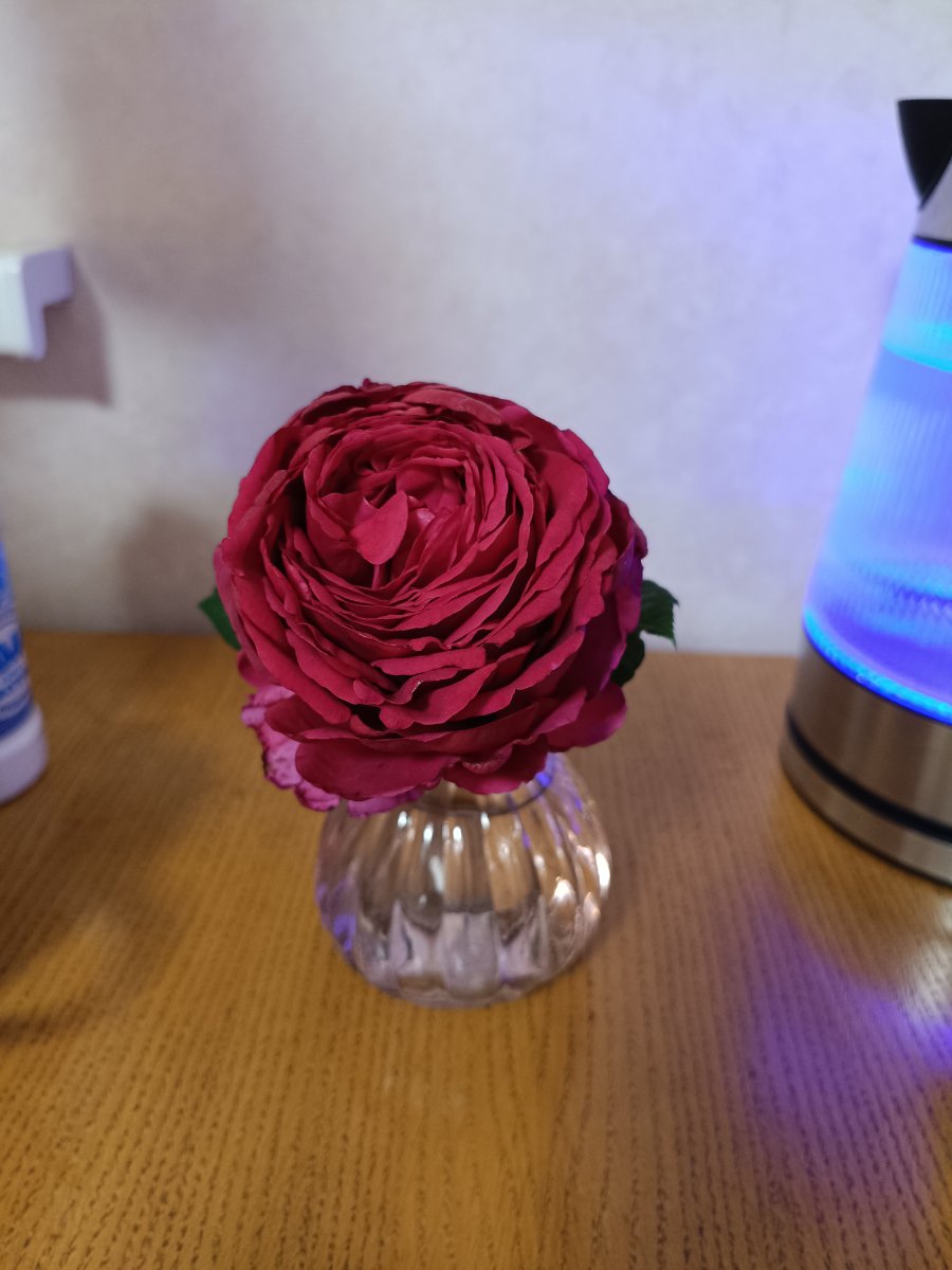 IMG_20250914_205335.jpg